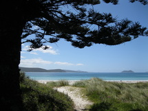 Middleton Beach from under the Norfolk Pines, overlooking King George Sound